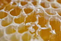 Beeswax